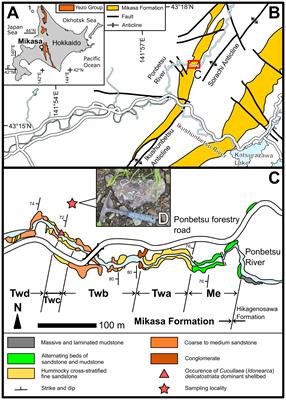 Shallow-water temperature seasonality in the middle Cretaceous mid-latitude northwestern Pacific